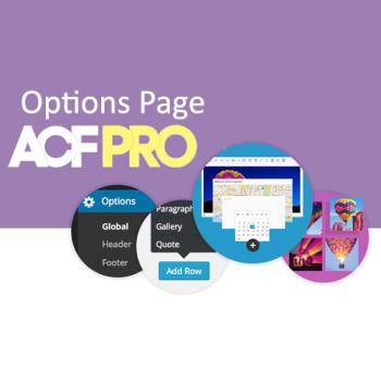 Advanced-Custom-Fields-Options-23Page-Addon