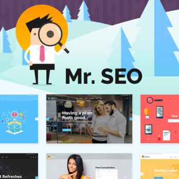 Mr-SEO-SEO-Marketing-Agency-and-Social-Media-Theme