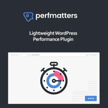 Perfmatters-WordPress-Plugin