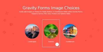 gravity-forms-image-choices
