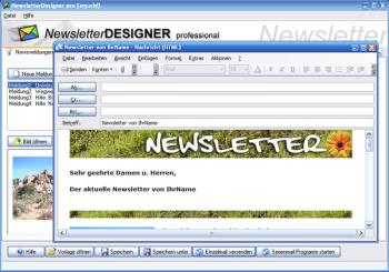 newsletter-designen_1_big